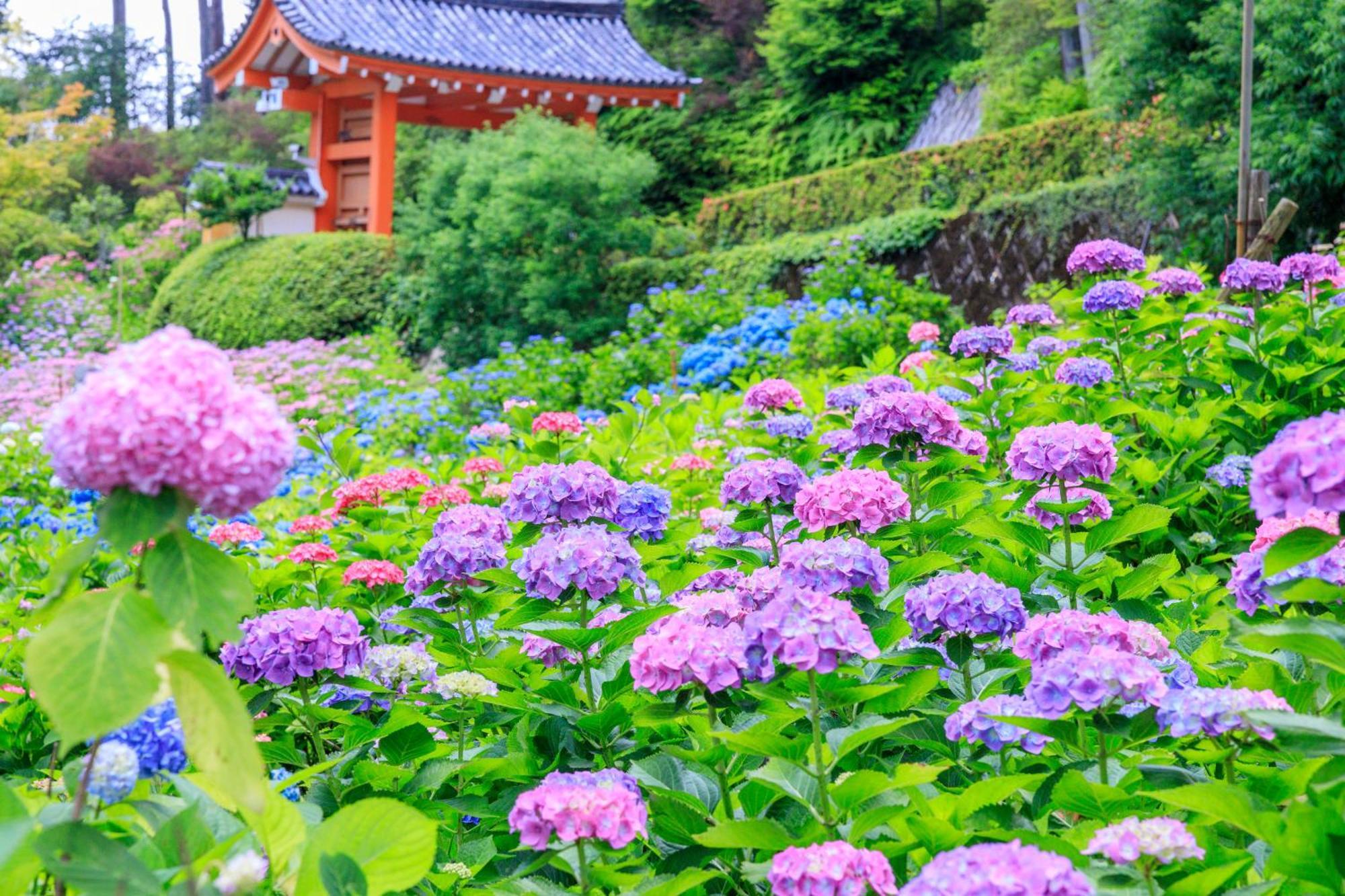 Mimaru Suites Kyoto Shijo Exteriér fotografie